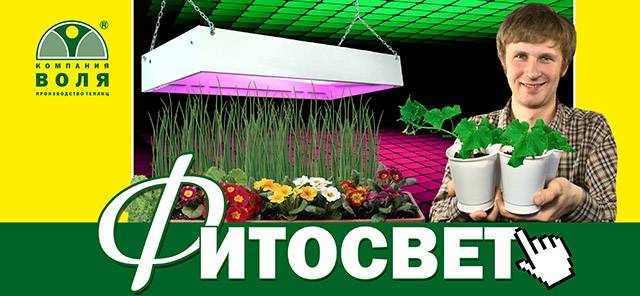 Фитолампа Фитосвет-Д