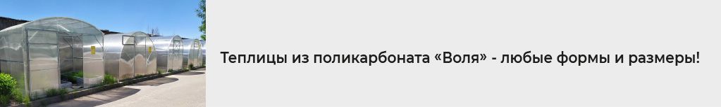 Индетерминантные перцы для теплицы из поликарбоната