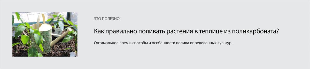 Как проветривать теплицу из поликарбоната с огурцами правильно