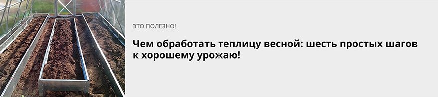 Чем обработать теплицу весной