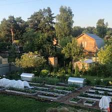 Отзыв о товаре Грядка парник Хлебница